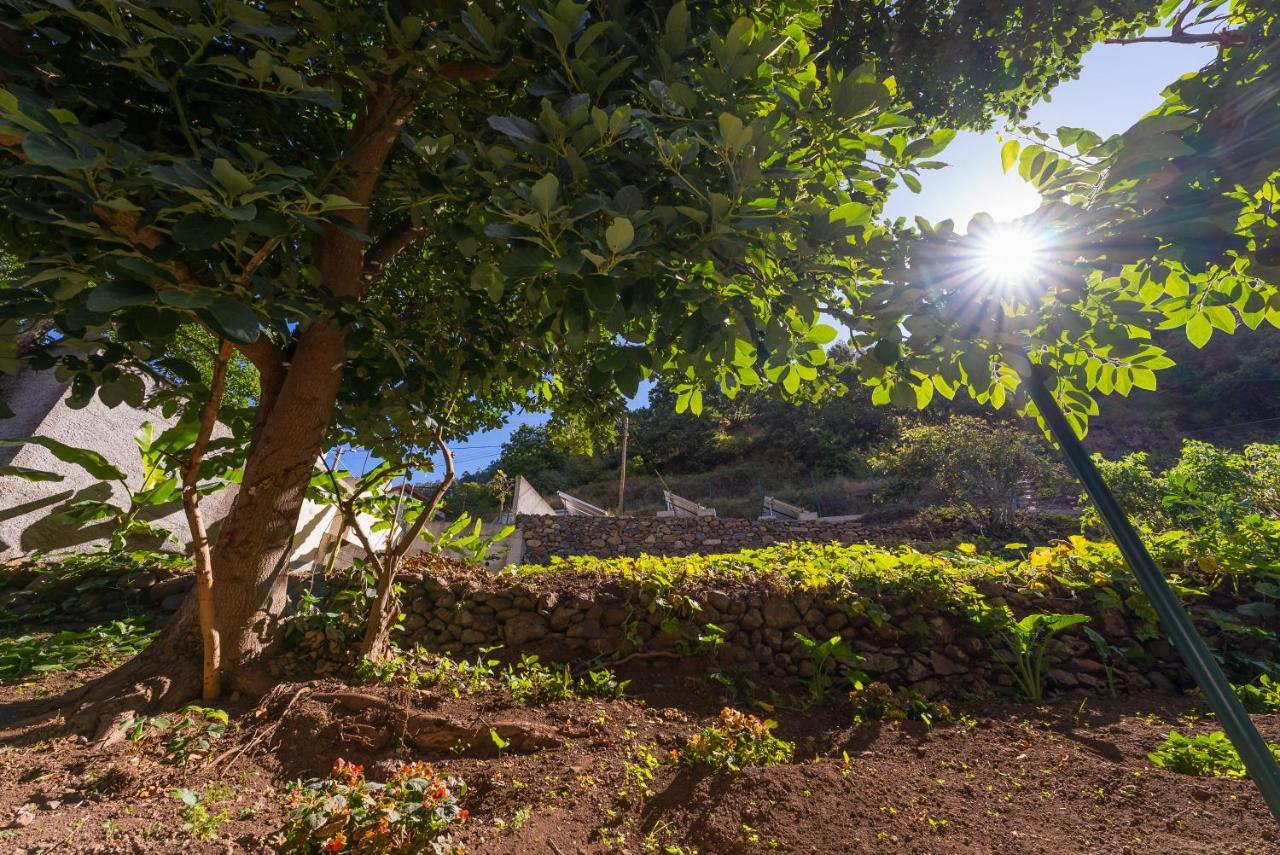 Solar Dos Reis By An Island Apart Ribeira Brava Exteriér fotografie